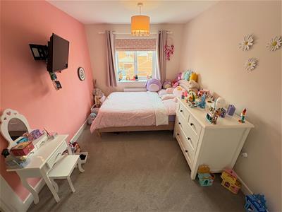 Picture 24